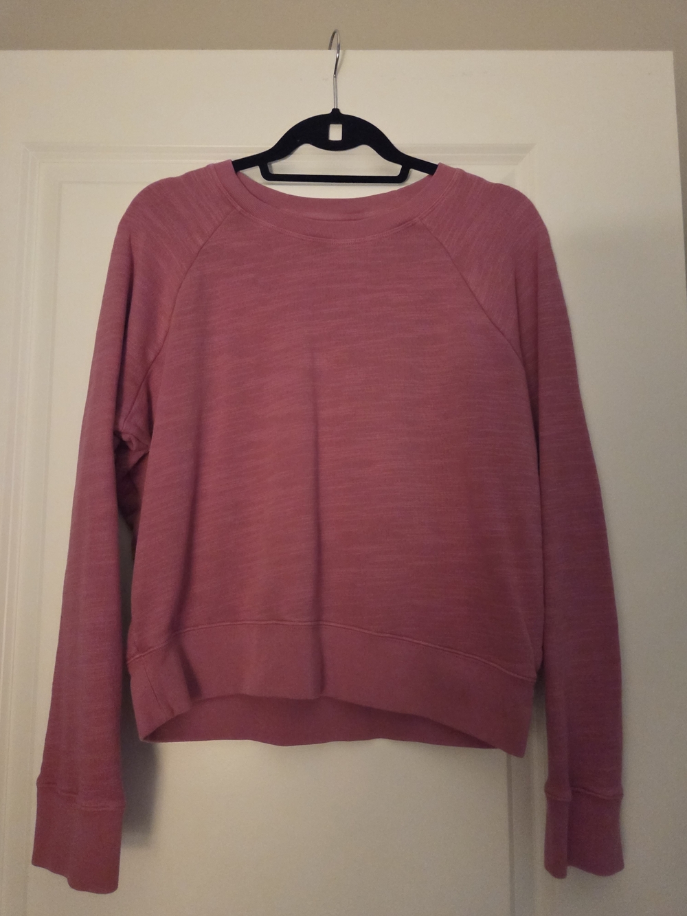 J. Crew Long Sleeve Pink Pullover Sweatshirt